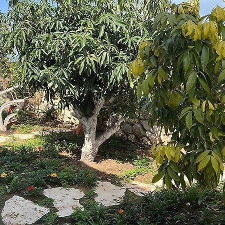 אחוזת היניבים Yaniv Estate Villa Nurit Bagian luar foto