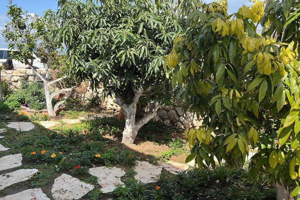 אחוזת היניבים Yaniv Estate Villa Nurit Bagian luar foto